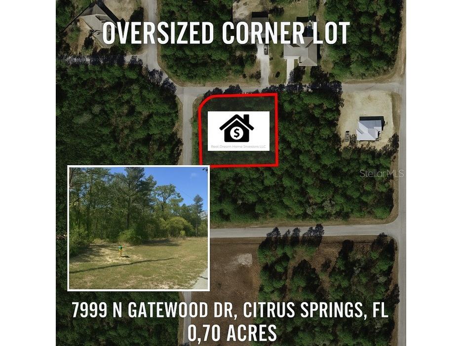 7999 N Gatewood Drive Citrus Springs FL 34433 O6307845 image1