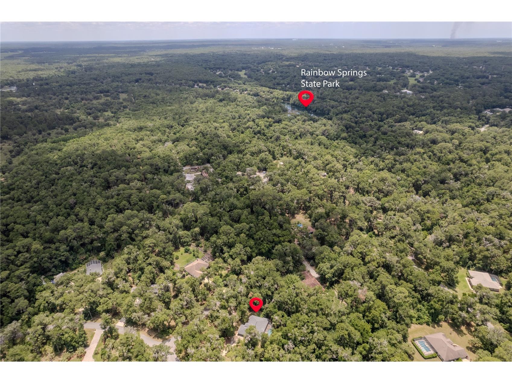 7999 SW 187th Avenue Dunnellon FL 34432 - RAINBOW RIVER OM726184 image43