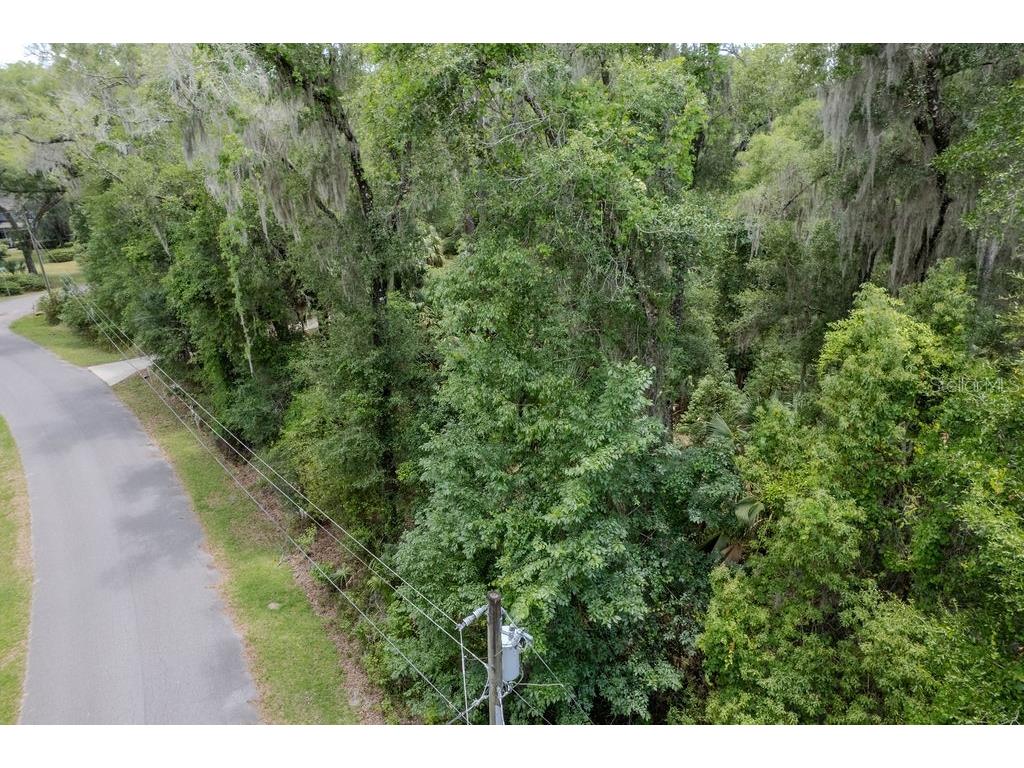 7999 SW 187th Avenue Dunnellon FL 34432 - RAINBOW RIVER OM726184 image62