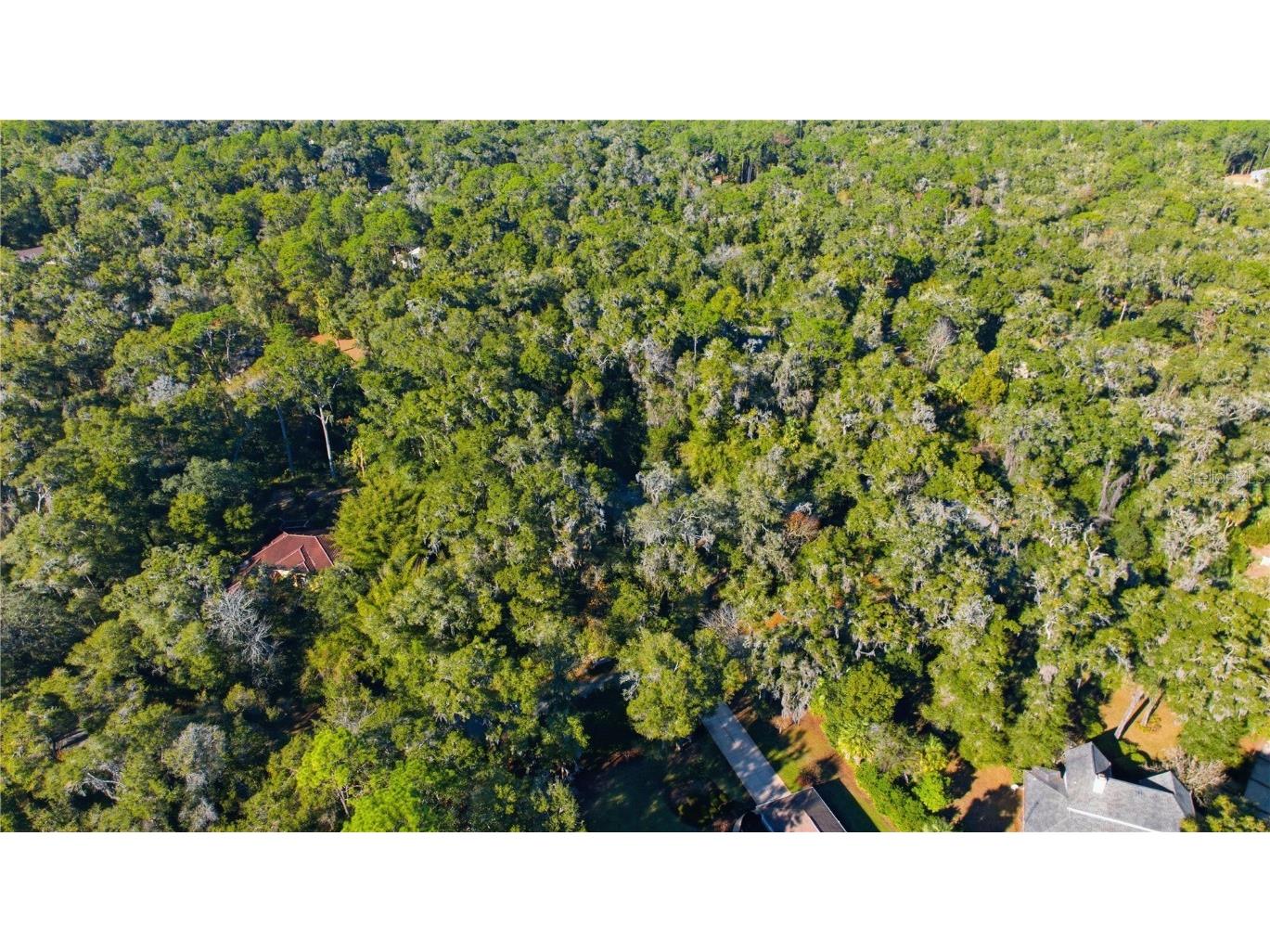 7999 SW 187th Avenue Dunnellon FL 34432 TB8453976 image37