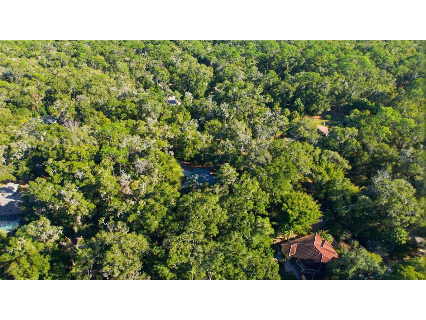 7999 SW 187th Avenue Dunnellon FL 34432 TB8453976 image39