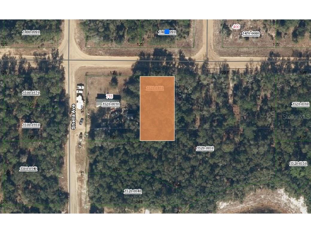 7XX Shirley Street Interlachen FL 32148 FC290536 image1