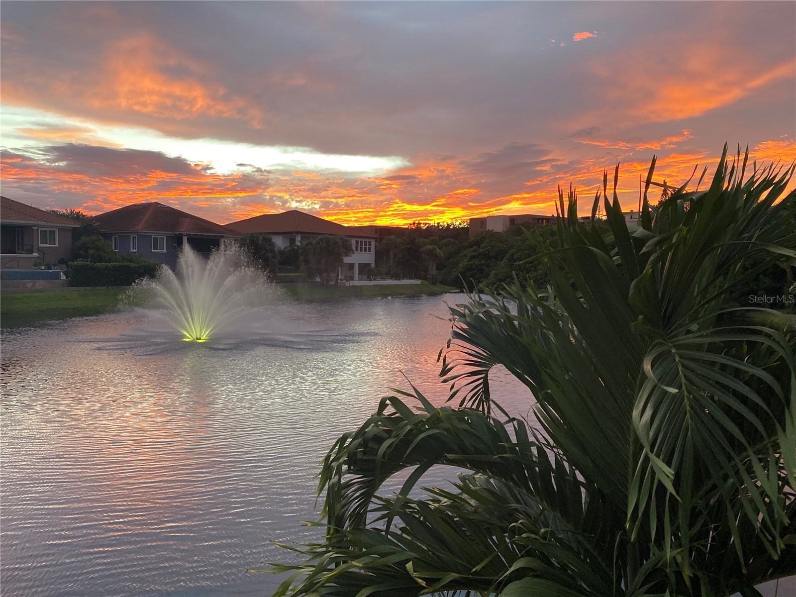 8 Academy Way S #123 Saint Petersburg FL 33711 TB8456422 image38