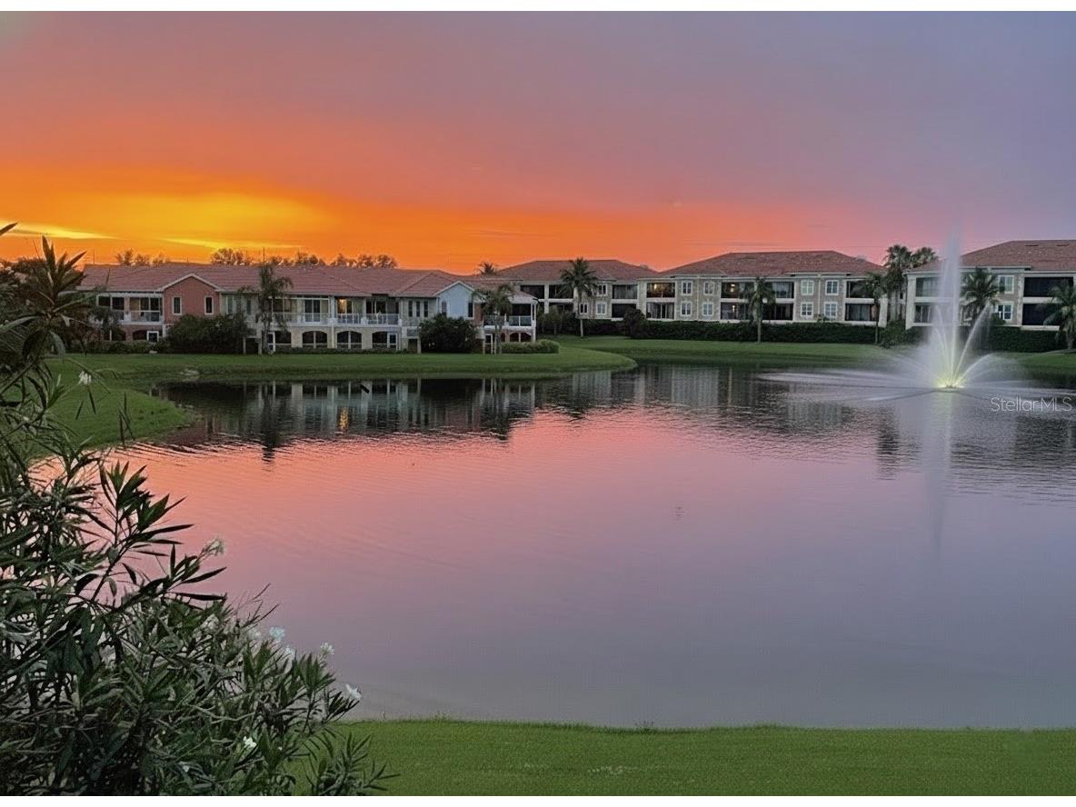 8 Academy Way S #123 Saint Petersburg FL 33711 TB8456422 image41