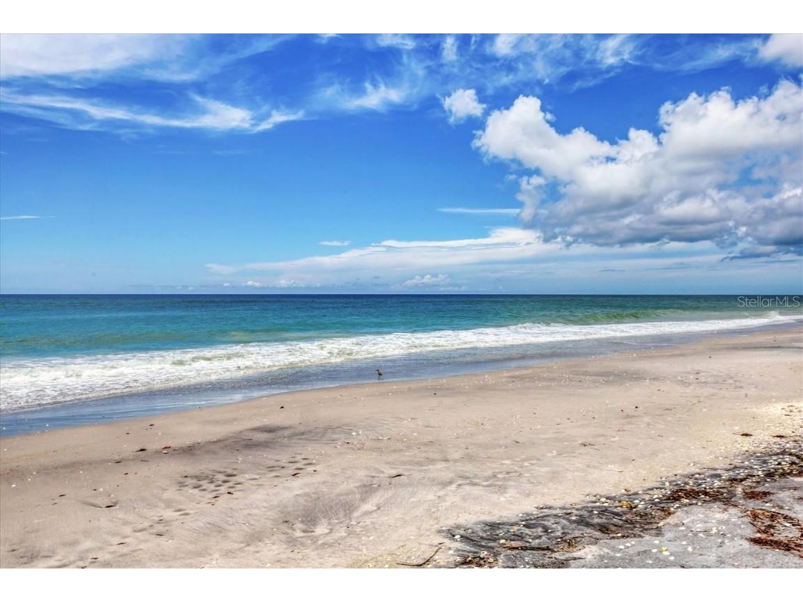 8 Adele Way Placida FL 33946 - GULF AND BOCILLA LAGOON D6143713 image38