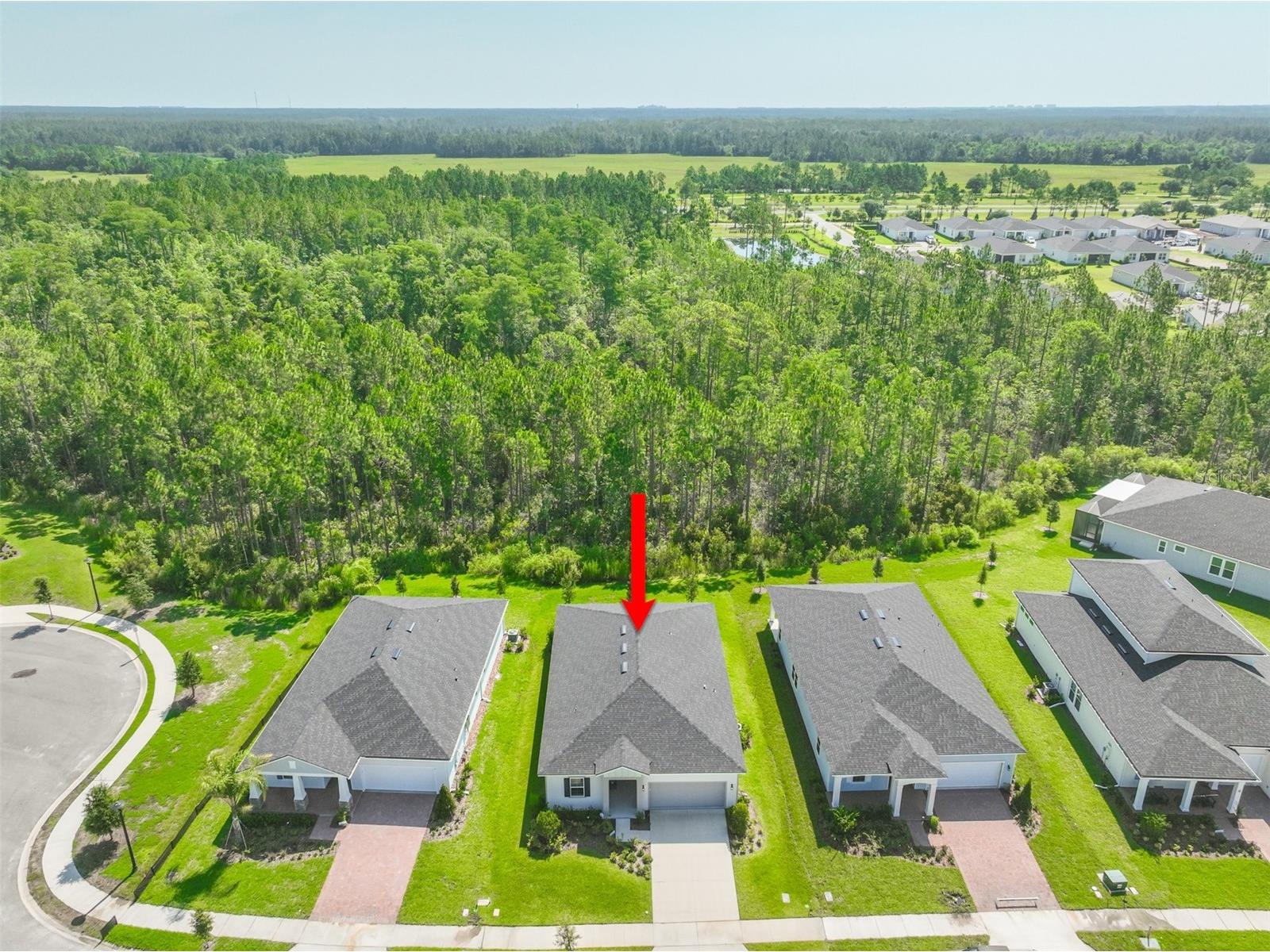 8 Aucilla Place Palm Coast FL 32137 FC319695 image38