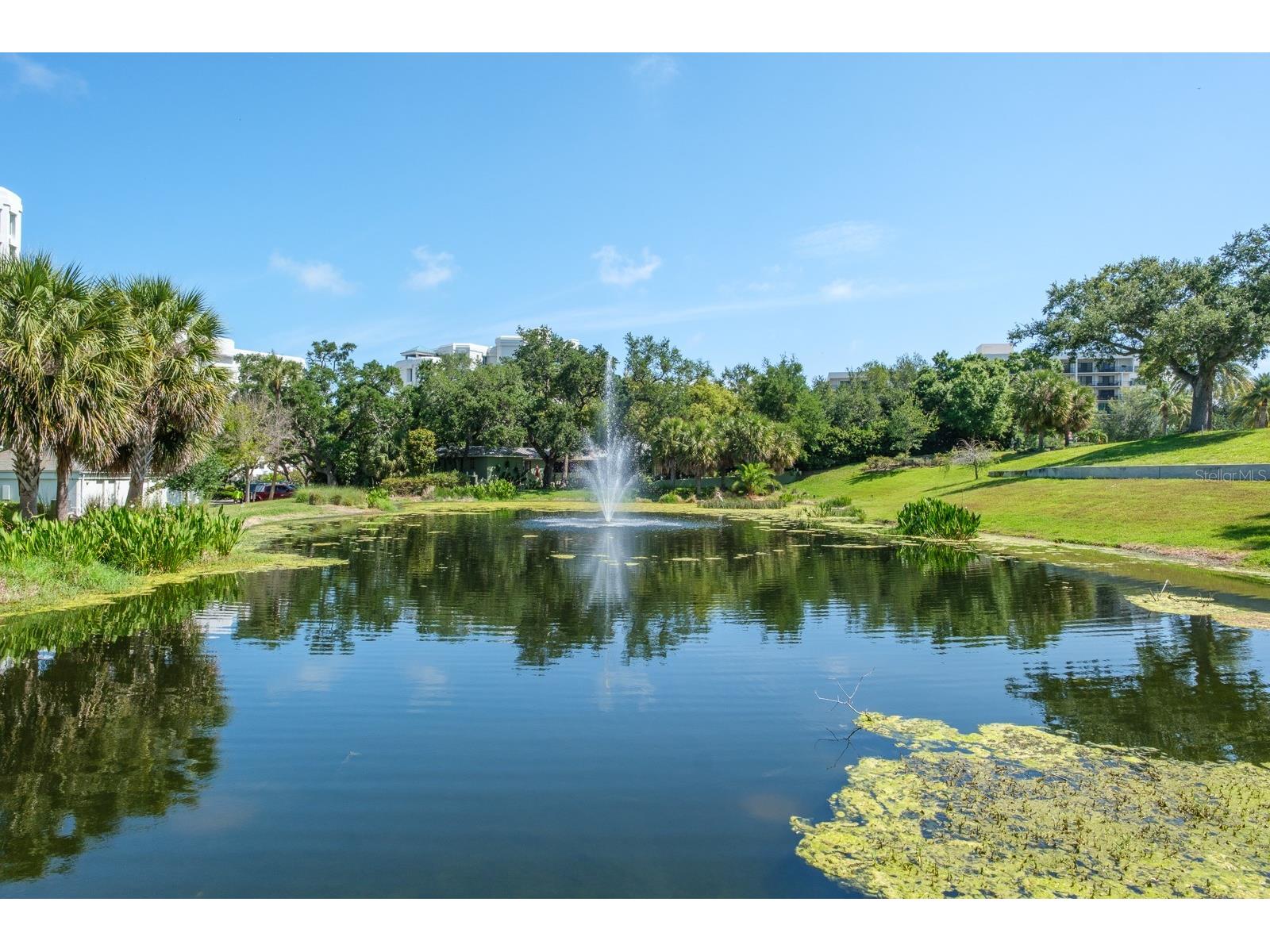 8 Belleview Boulevard #108 Belleair FL 33756 TB8478158 image57