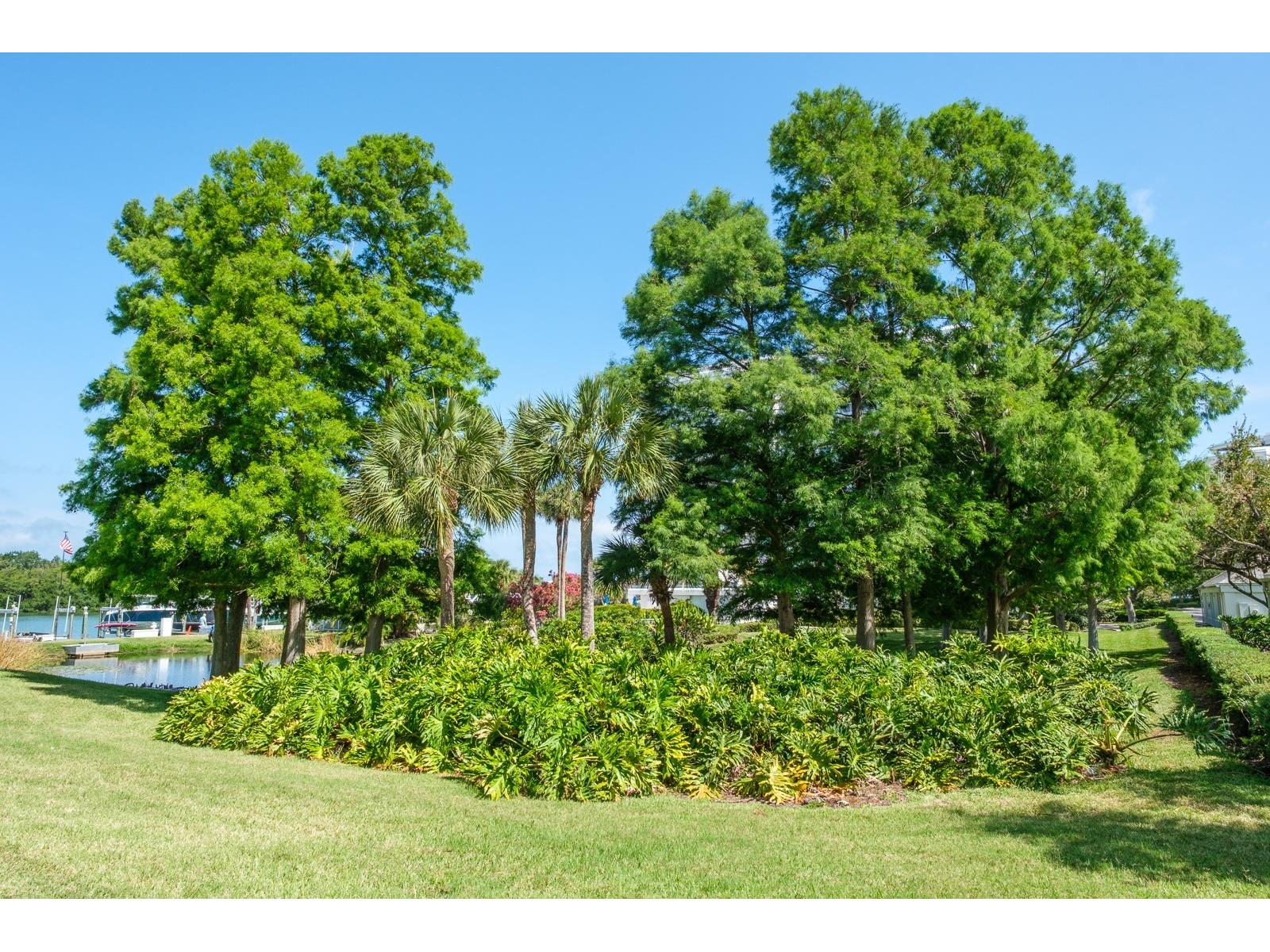 8 Belleview Boulevard #108 Belleair FL 33756 TB8478158 image60