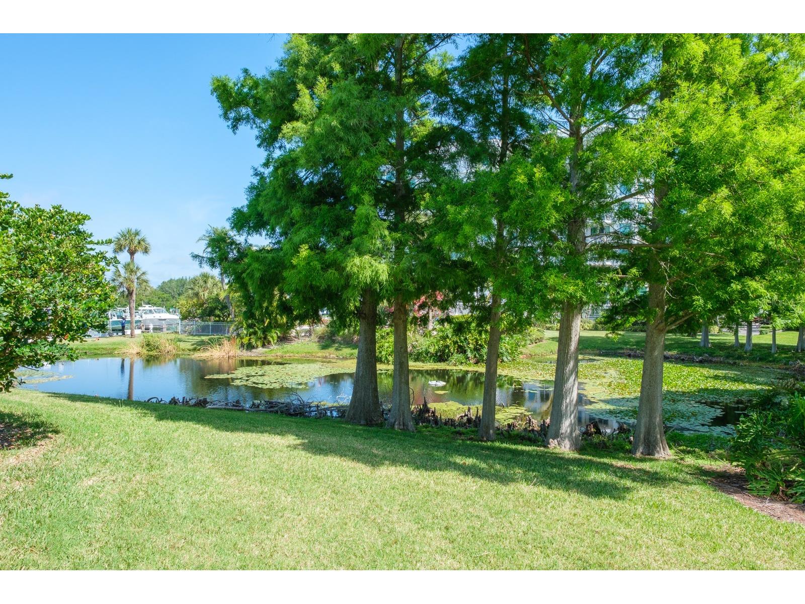 8 Belleview Boulevard #108 Belleair FL 33756 TB8478158 image61
