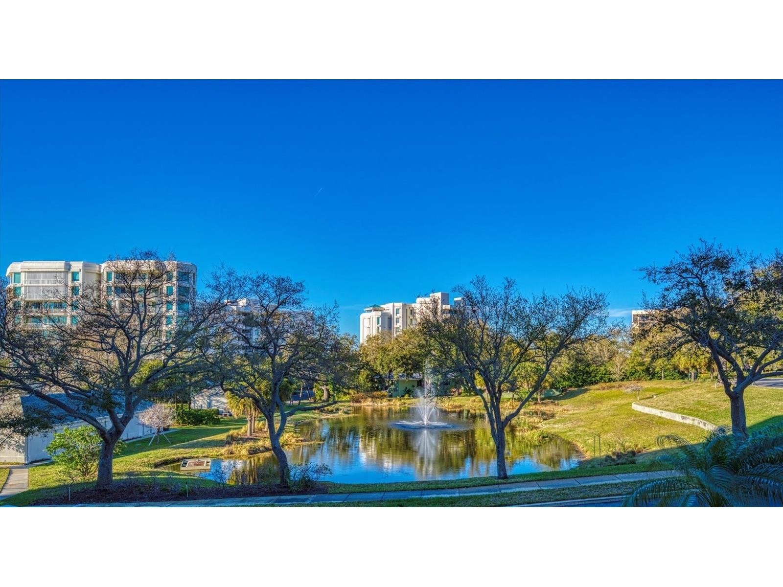 8 Belleview Boulevard #203 Belleair FL 33756 - INTRACOASTAL/CLEARWATERBAY TB8481965 image14