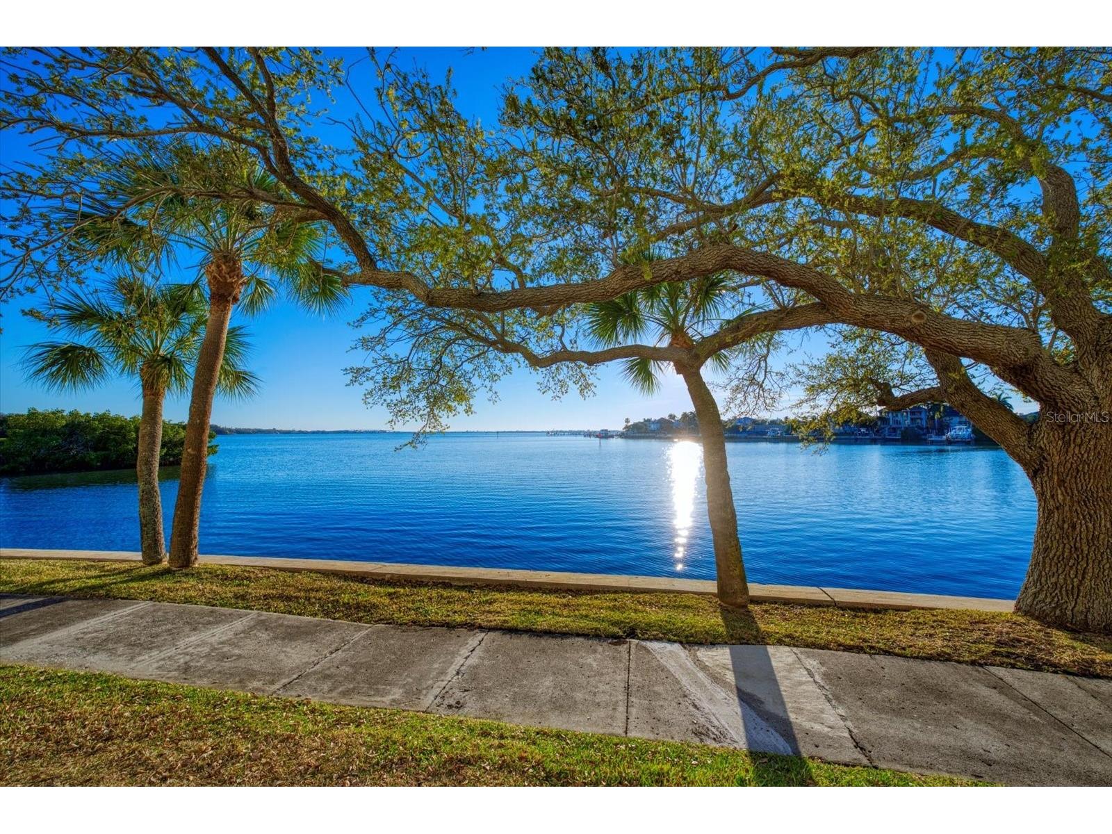 8 Belleview Boulevard #203 Belleair FL 33756 - INTRACOASTAL/CLEARWATERBAY TB8481965 image49