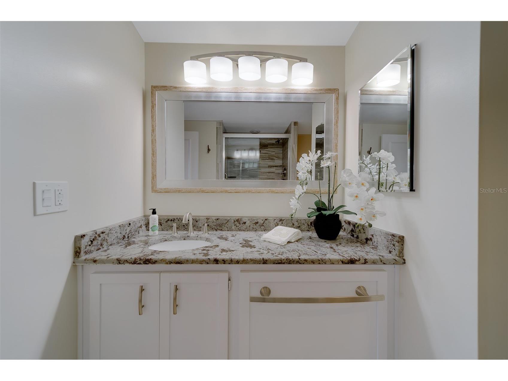 8 Belleview Boulevard #308 Belleair FL 33756 - CLEARWATER BAY & GULF TB8480702 image43