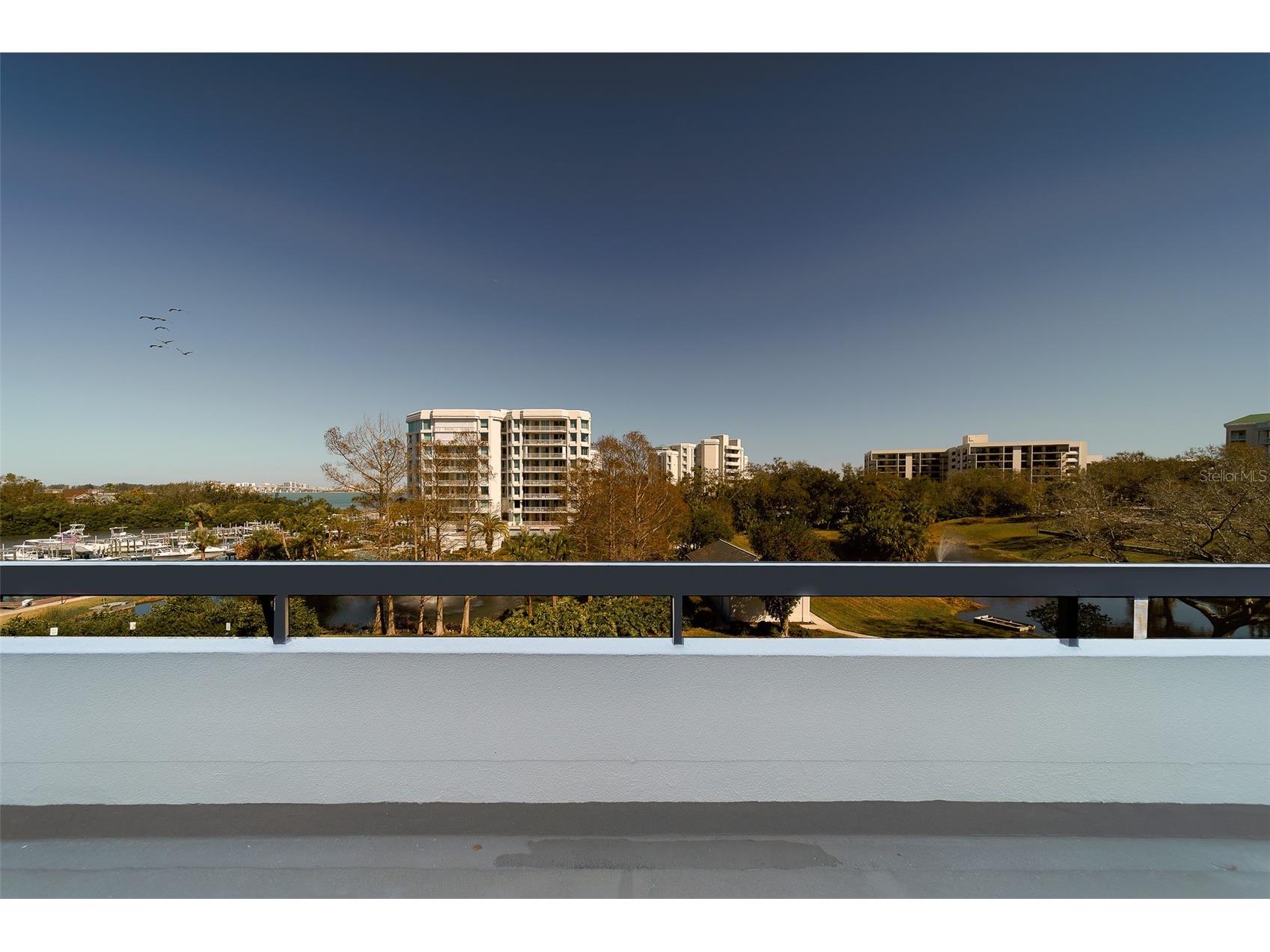 8 Belleview Boulevard #308 Belleair FL 33756 - CLEARWATER BAY & GULF TB8480702 image46