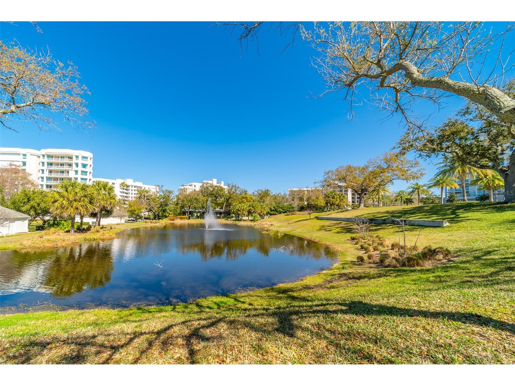 8 Belleview Boulevard #308 Belleair FL 33756 - CLEARWATER BAY & GULF TB8480702 image76