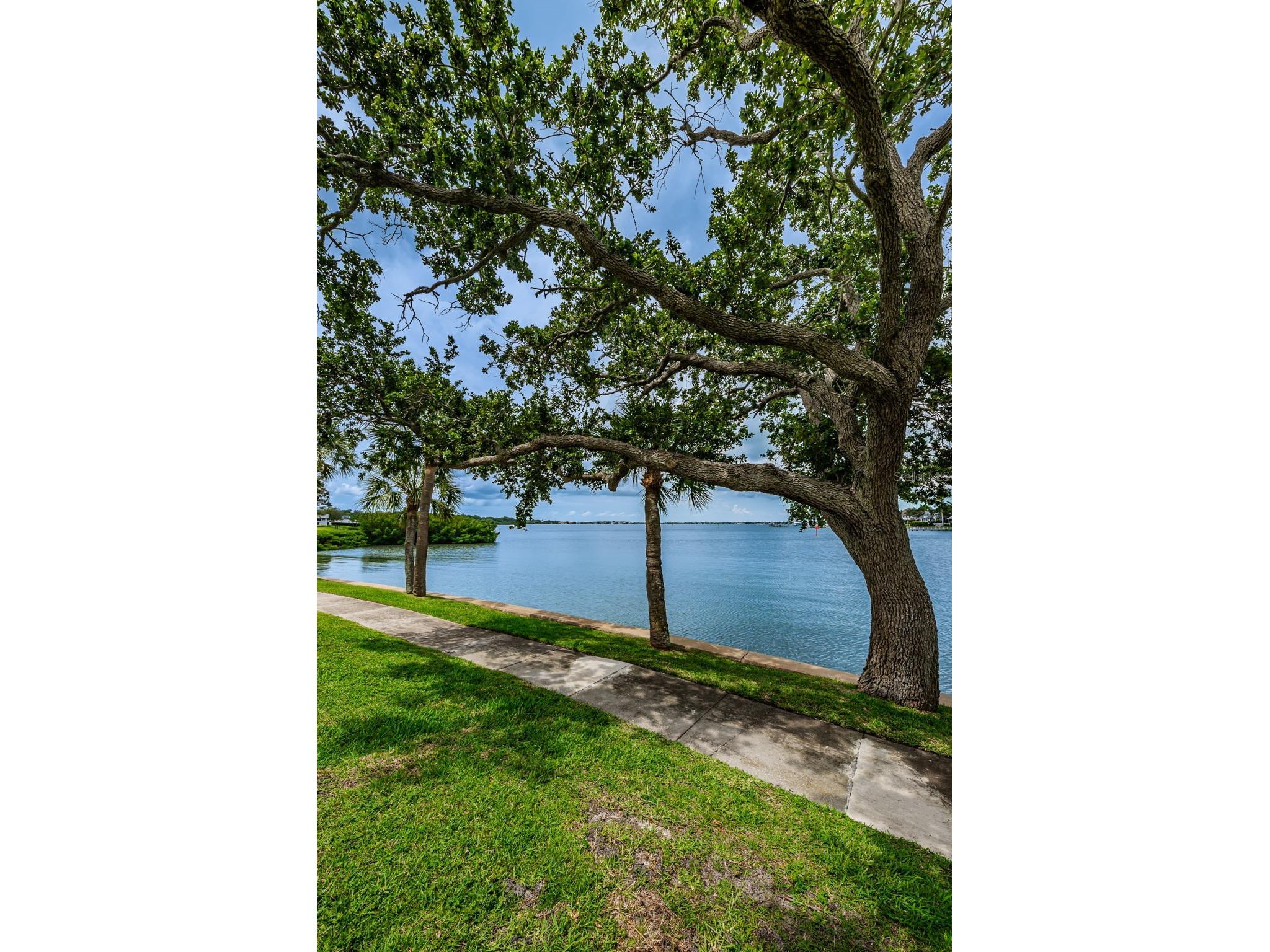 8 Belleview Boulevard #601 Belleair FL 33756 TB8420774 image51