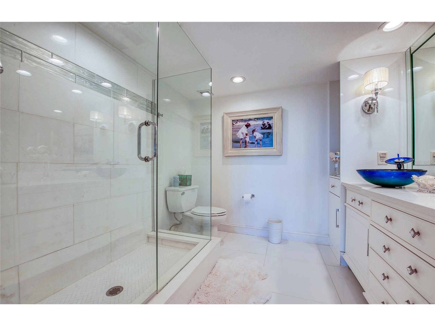 8 Belleview Boulevard #702 Belleair FL 33756 - BAY INTERCOASTAL TB8466591 image36