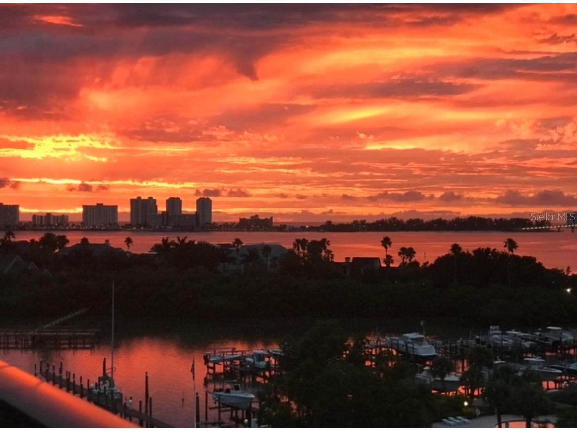 8 Belleview Boulevard #702 Belleair FL 33756 - BAY INTERCOASTAL TB8466591 image63