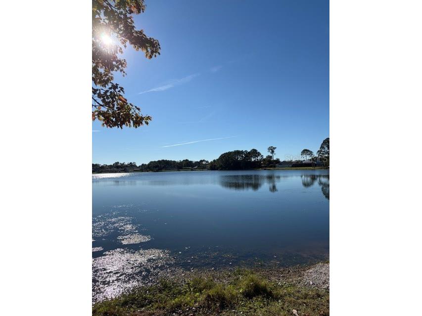 8 Bill Court Palm Coast FL 32137 FC314696 image6