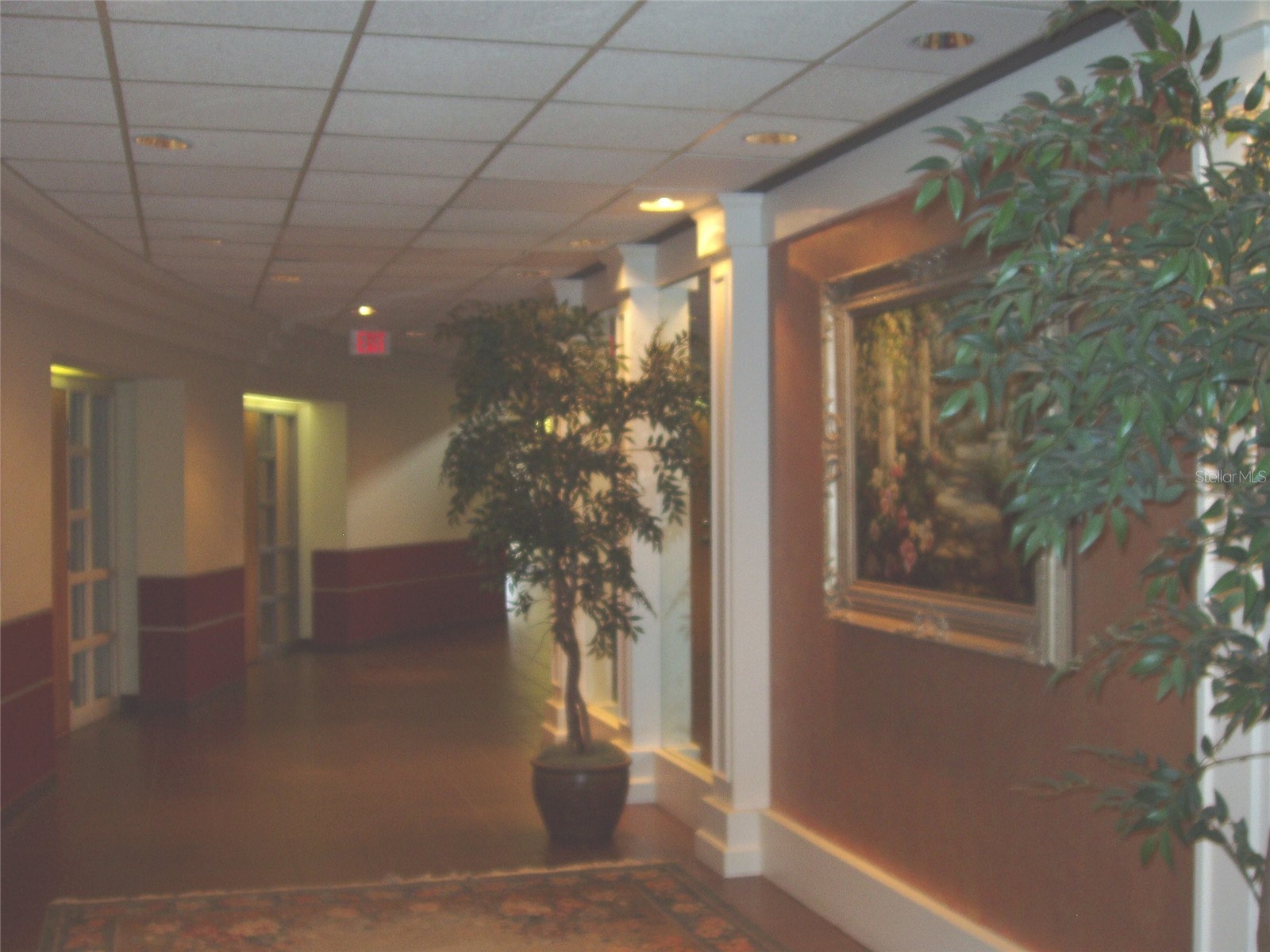 8 Broadway #105 Kissimmee FL 34741 S5149267 image3