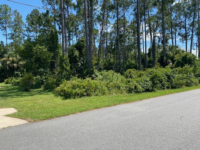 8 Bud Hollow Drive Palm Coast FL 32137 FC302171 image1