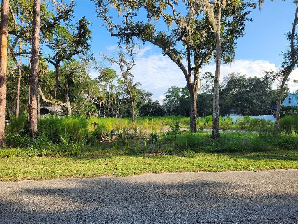 8 Bulow Woods Circle Flagler Beach FL 32136 FC294728 image1