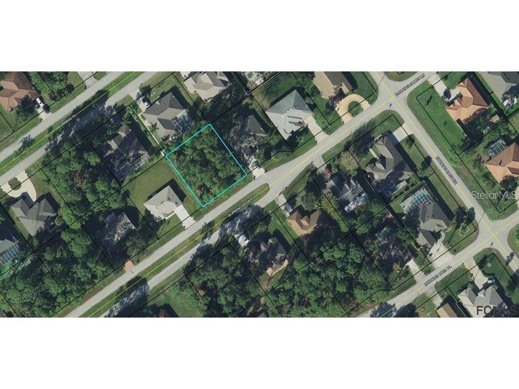 8 Burning Wick Place Palm Coast FL 32137 FC290853 image1