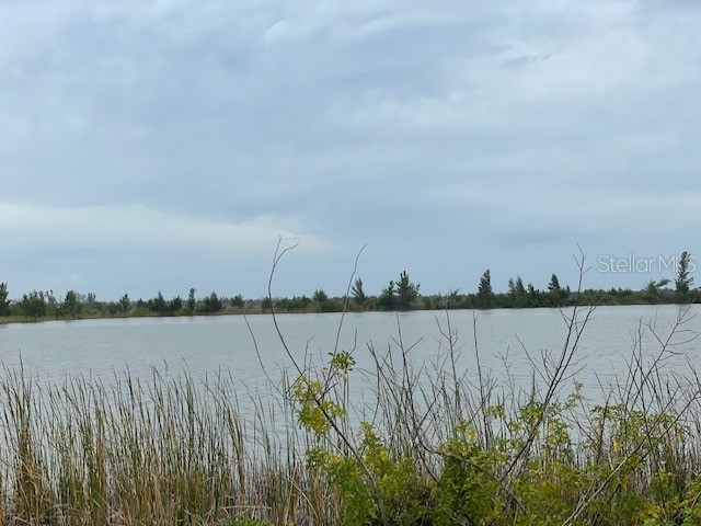 8 Chinaberry Way Placida FL 33946 D6135363 image1