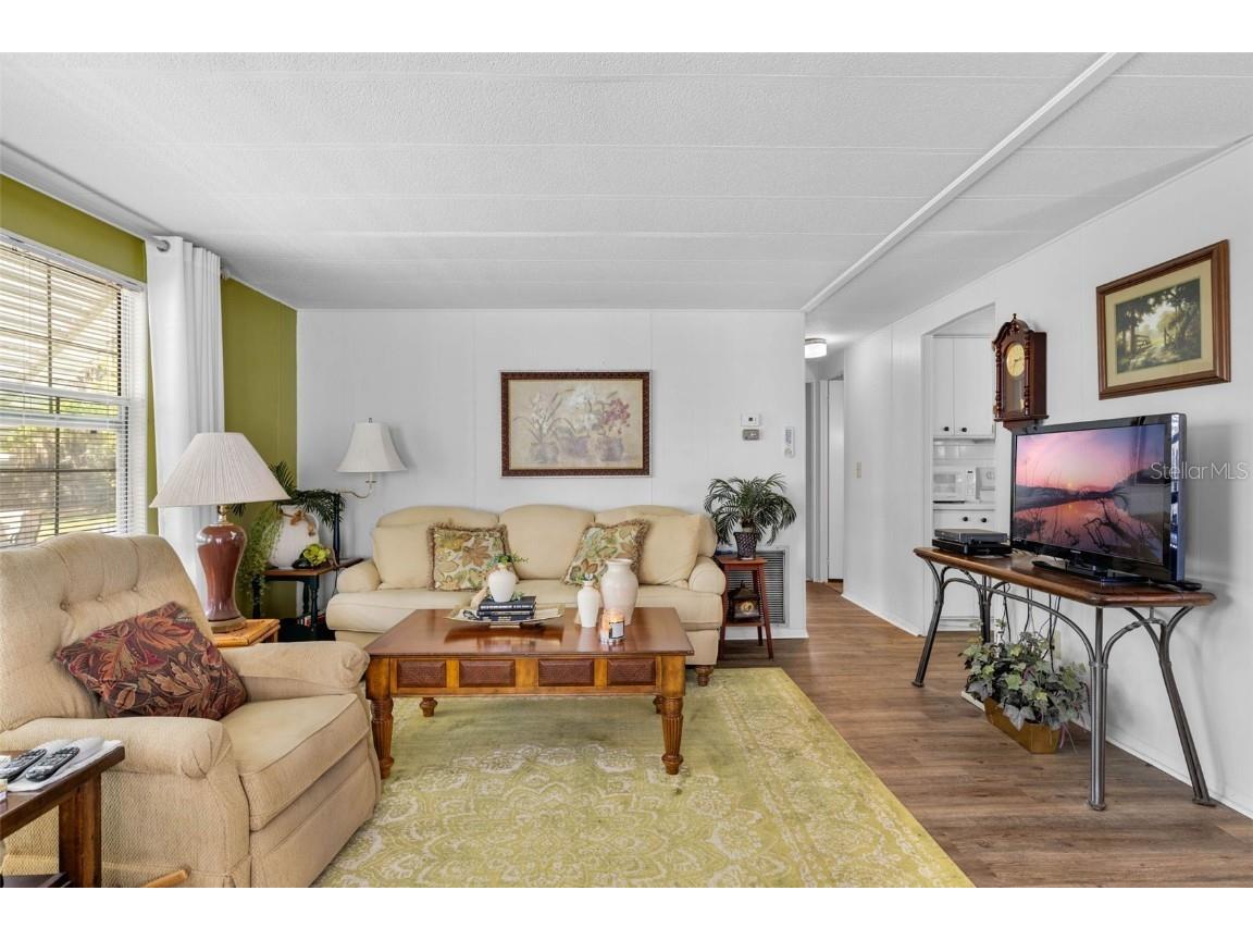 8 Cocos Plumosa Drive #A Eustis FL 32726 - Trout Lake O6366279 image11