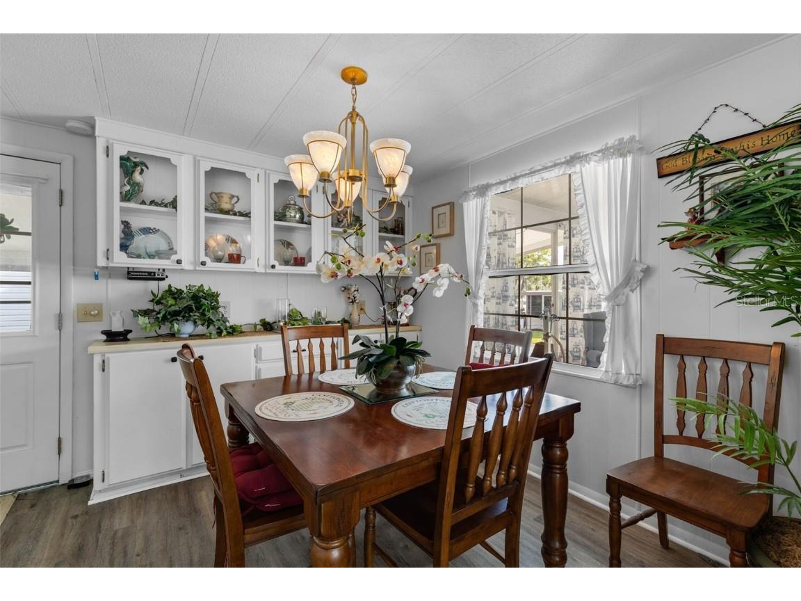 8 Cocos Plumosa Drive #A Eustis FL 32726 - Trout Lake O6366279 image19