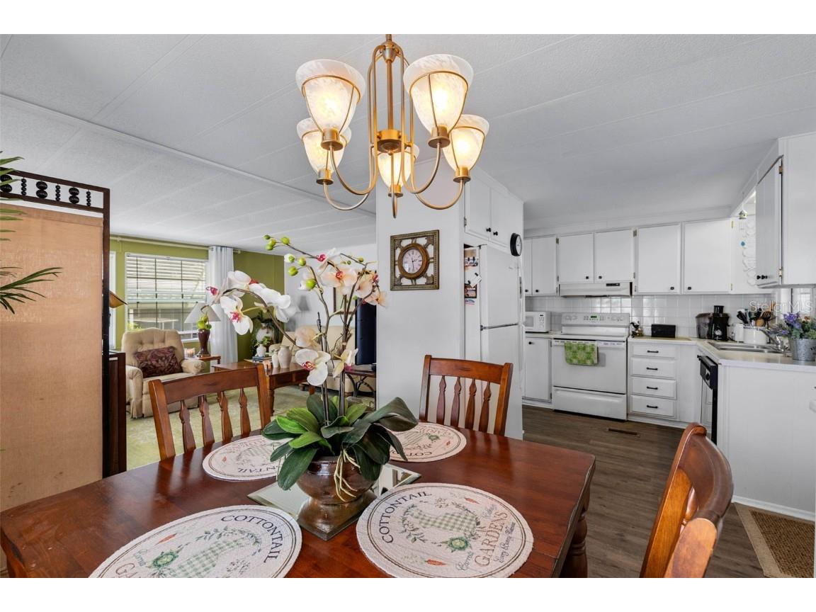 8 Cocos Plumosa Drive #A Eustis FL 32726 - Trout Lake O6366279 image20