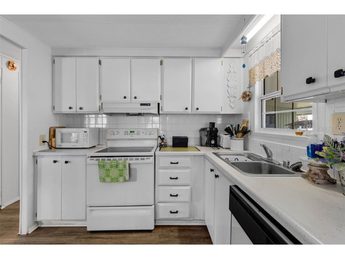 8 Cocos Plumosa Drive #A Eustis FL 32726 - Trout Lake O6366279 image21