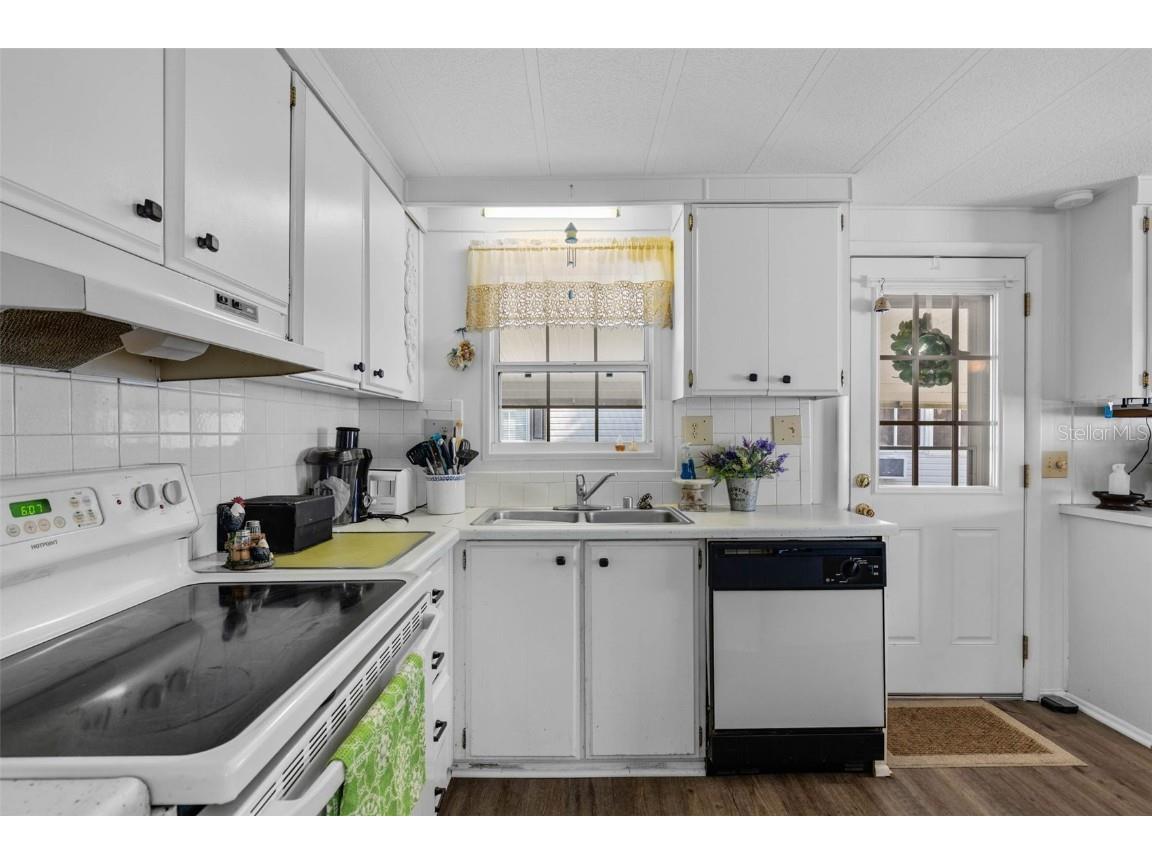 8 Cocos Plumosa Drive #A Eustis FL 32726 - Trout Lake O6366279 image23