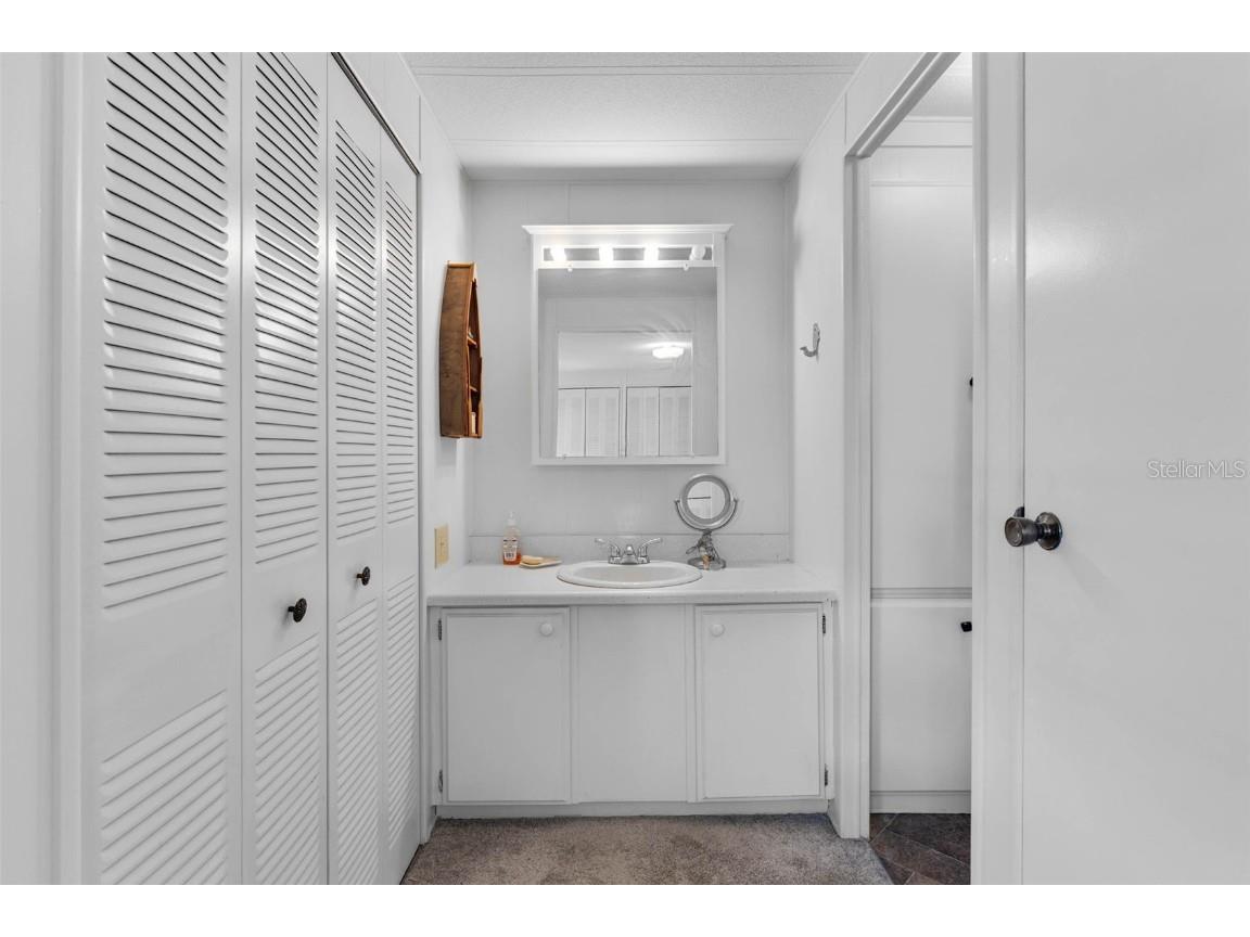 8 Cocos Plumosa Drive #A Eustis FL 32726 - Trout Lake O6366279 image28