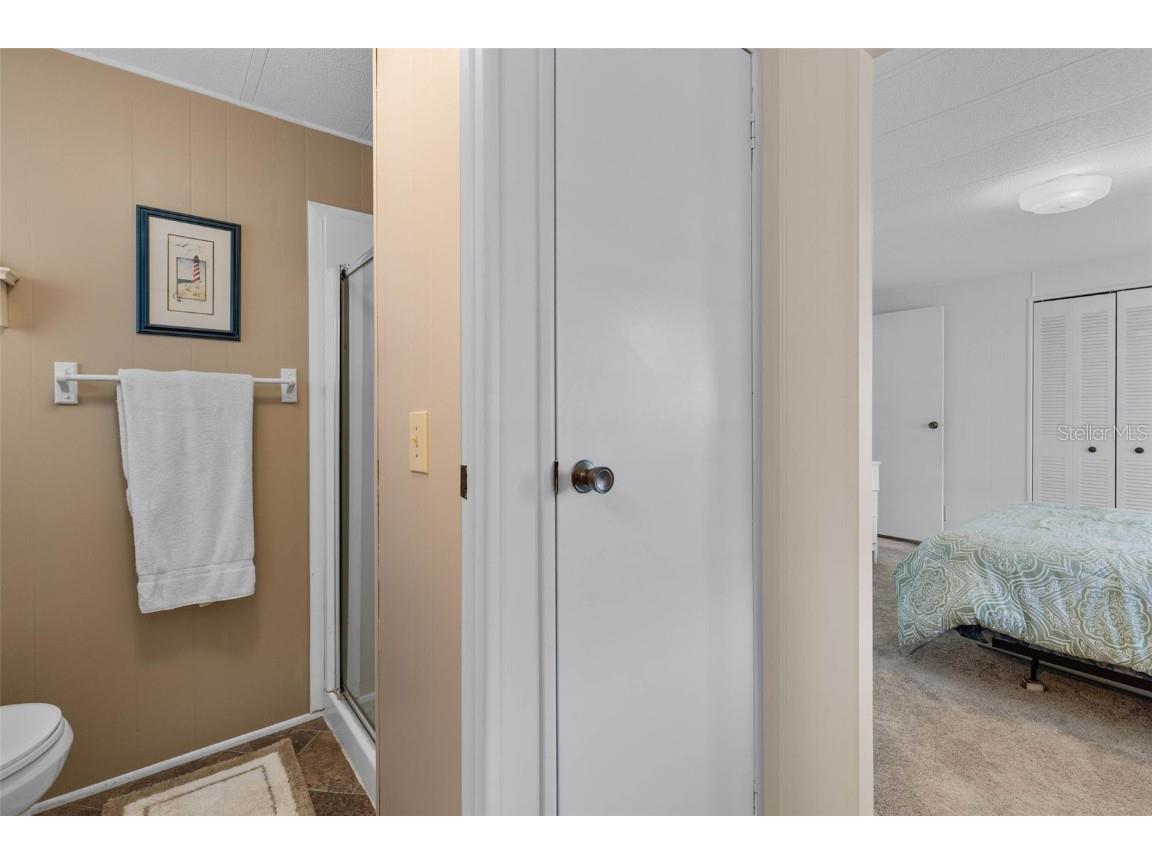 8 Cocos Plumosa Drive #A Eustis FL 32726 - Trout Lake O6366279 image30