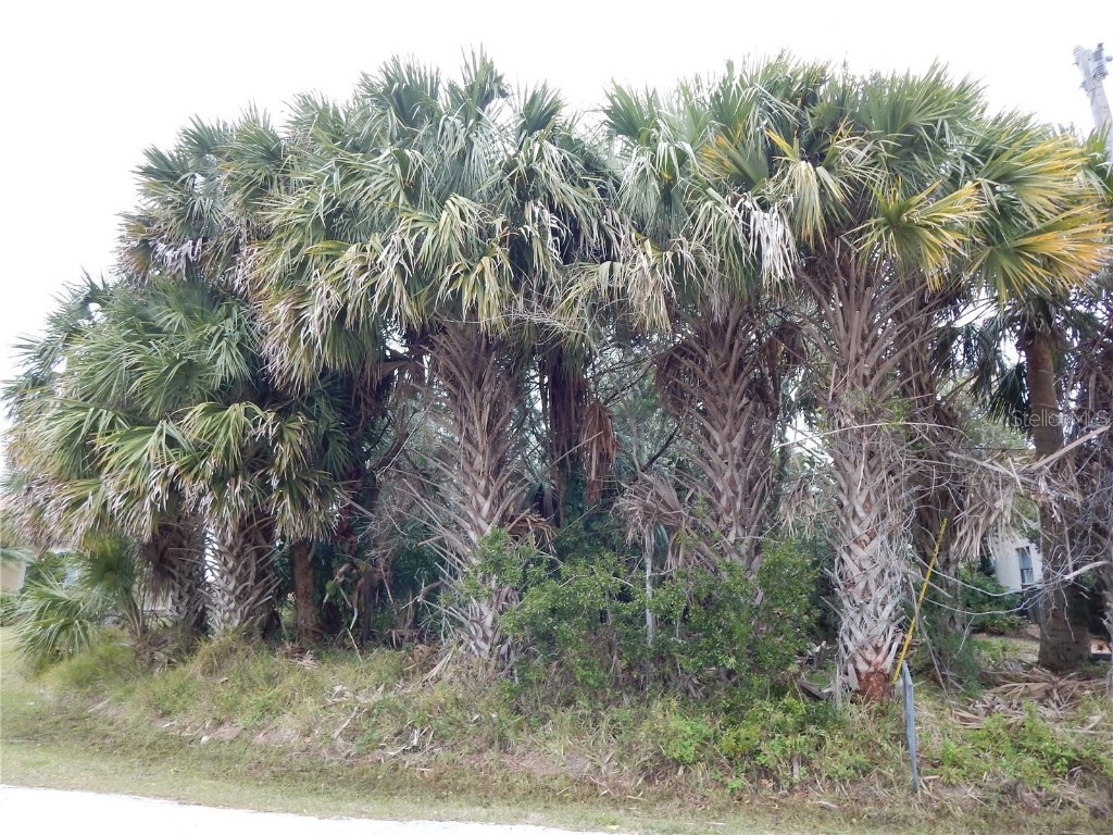 8 Collingville Court Palm Coast FL 32137 FC314476 image1