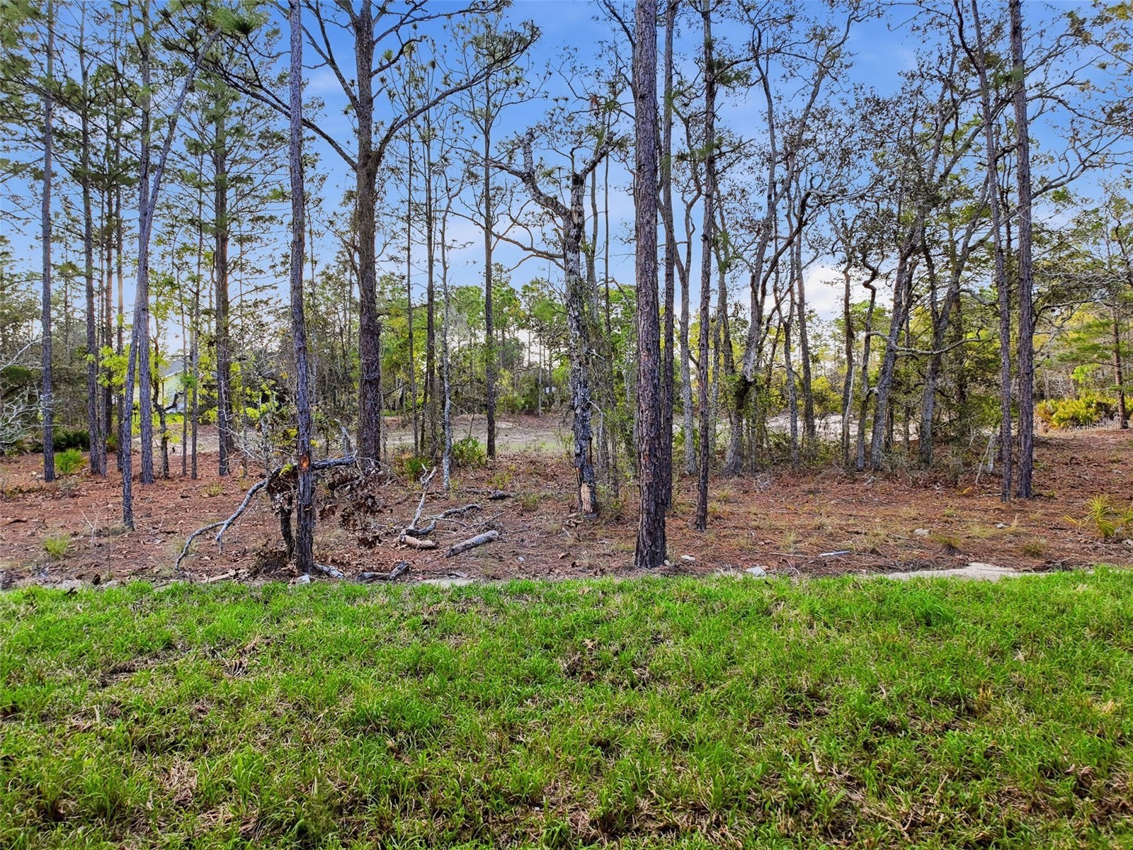 8 Cordia Court Homosassa FL 34446 W7871227 image35