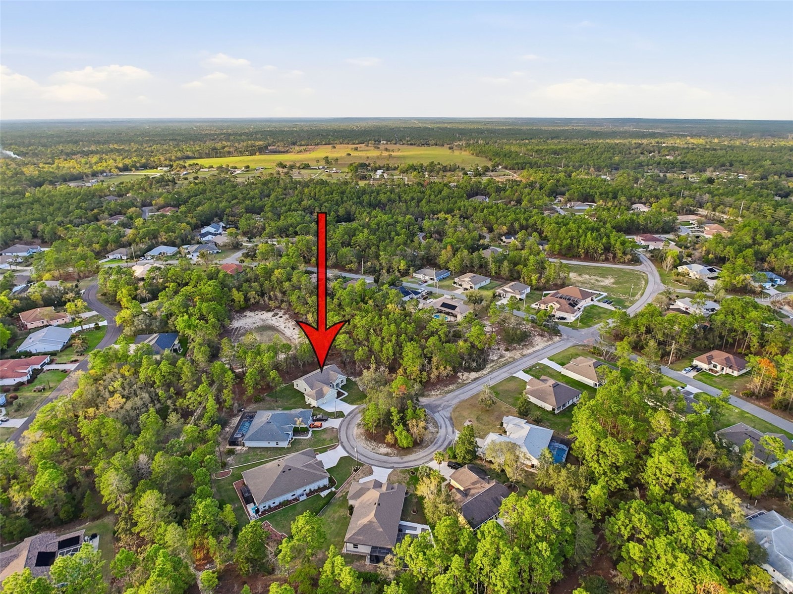 8 Cordia Court Homosassa FL 34446 W7871227 image40