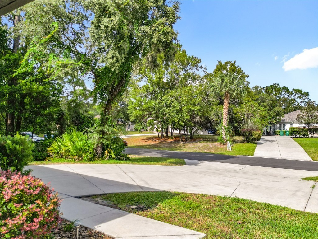 8 Deer Court #15 Homosassa FL 34446 TB8437262 image45
