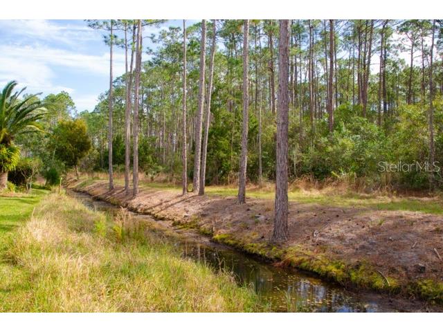 8 Eastland Lane Palm Coast FL 32164 FC312969 image58