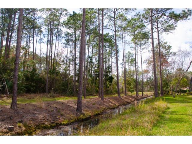 8 Eastland Lane Palm Coast FL 32164 FC312969 image59