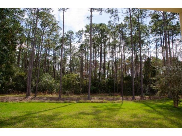 8 Eastland Lane Palm Coast FL 32164 FC312969 image60