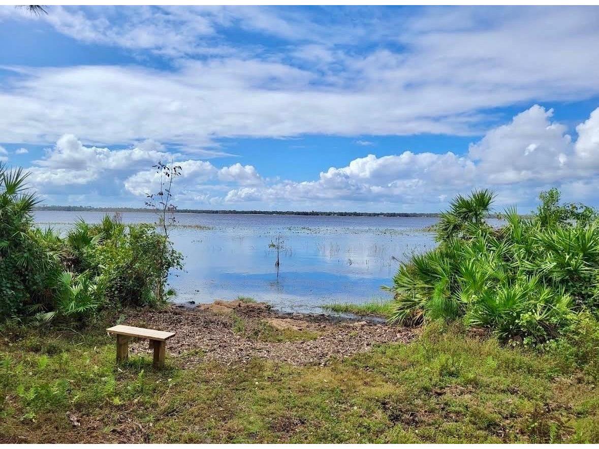 8 Flatfish Drive Kissimmee FL 34759 O6401863 image22