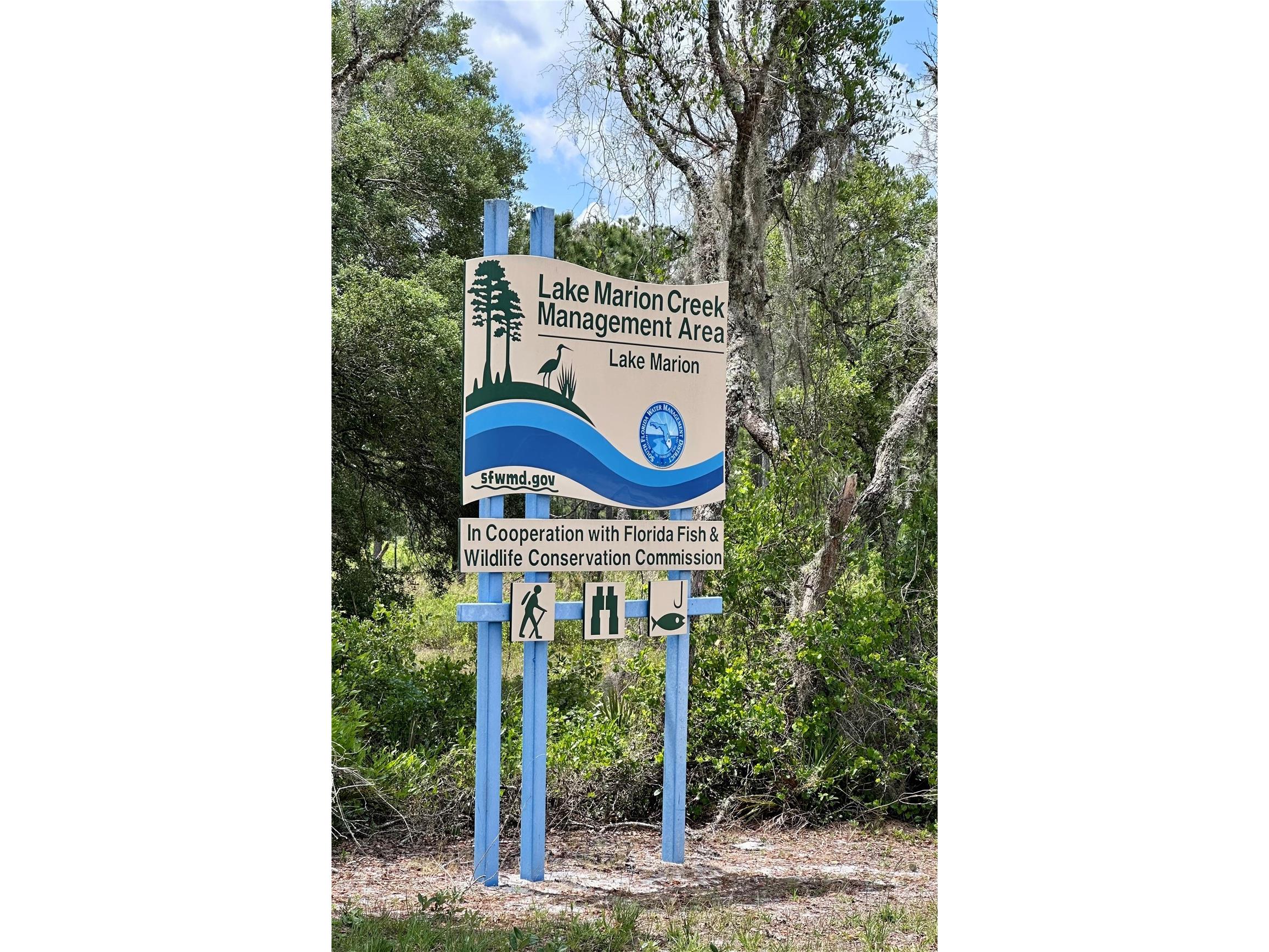 8 Flatfish Drive Kissimmee FL 34759 O6401863 image24