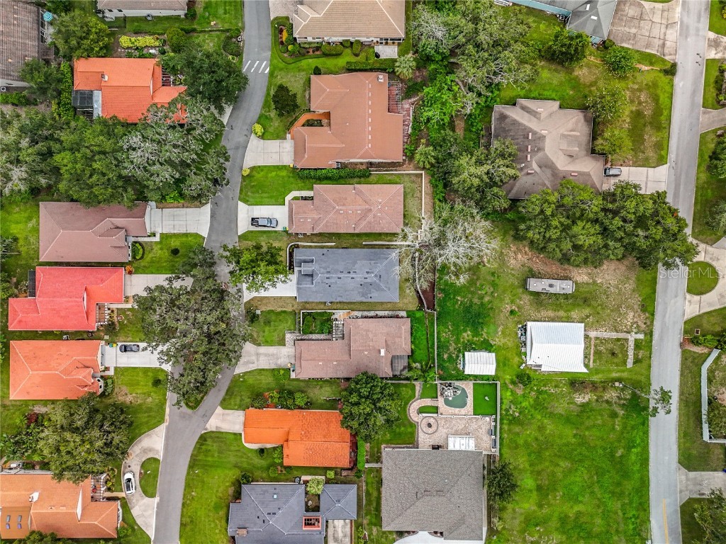 8 Forest Lane Eustis FL 32726 O6343262 image49