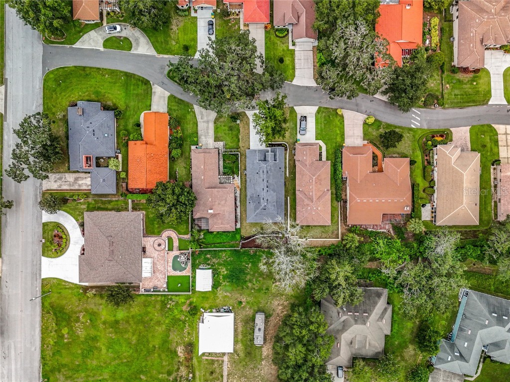 8 Forest Lane Eustis FL 32726 O6343262 image50