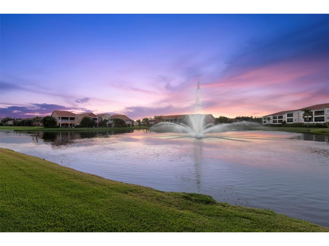 8 Franklin Court S #53D Saint Petersburg FL 33711 TB8443824 image36