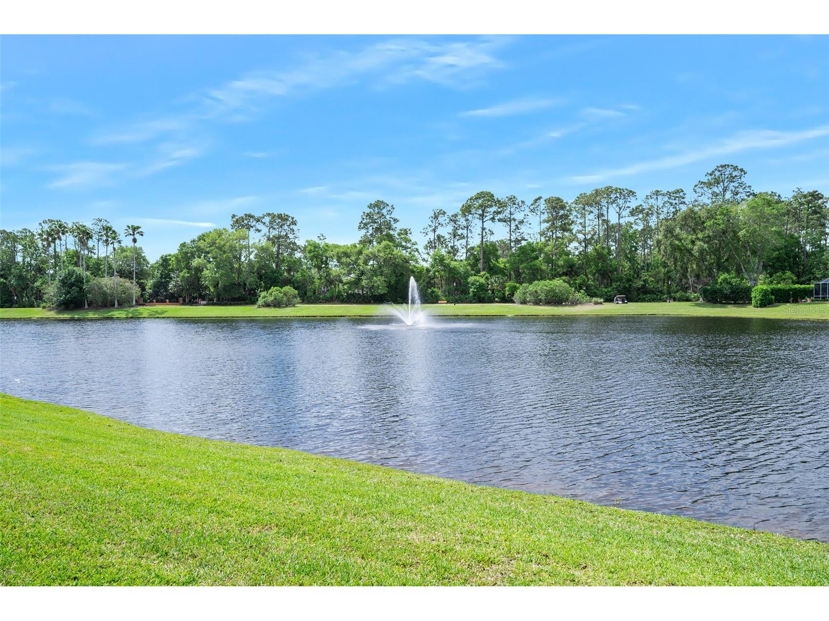 8 Gale Lane Ormond Beach FL 32174 FC317684 image51