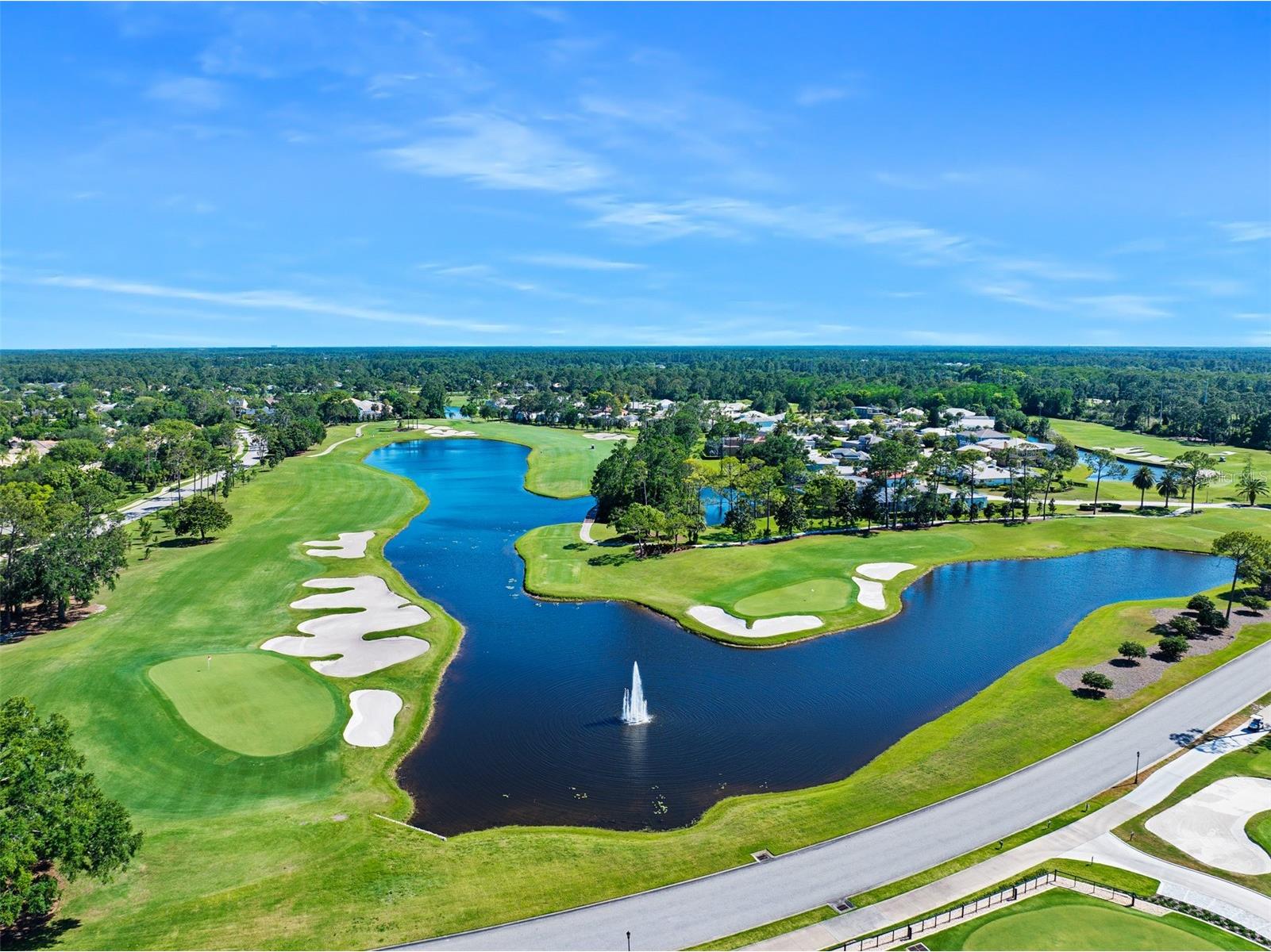 8 Gale Lane Ormond Beach FL 32174 FC317684 image75