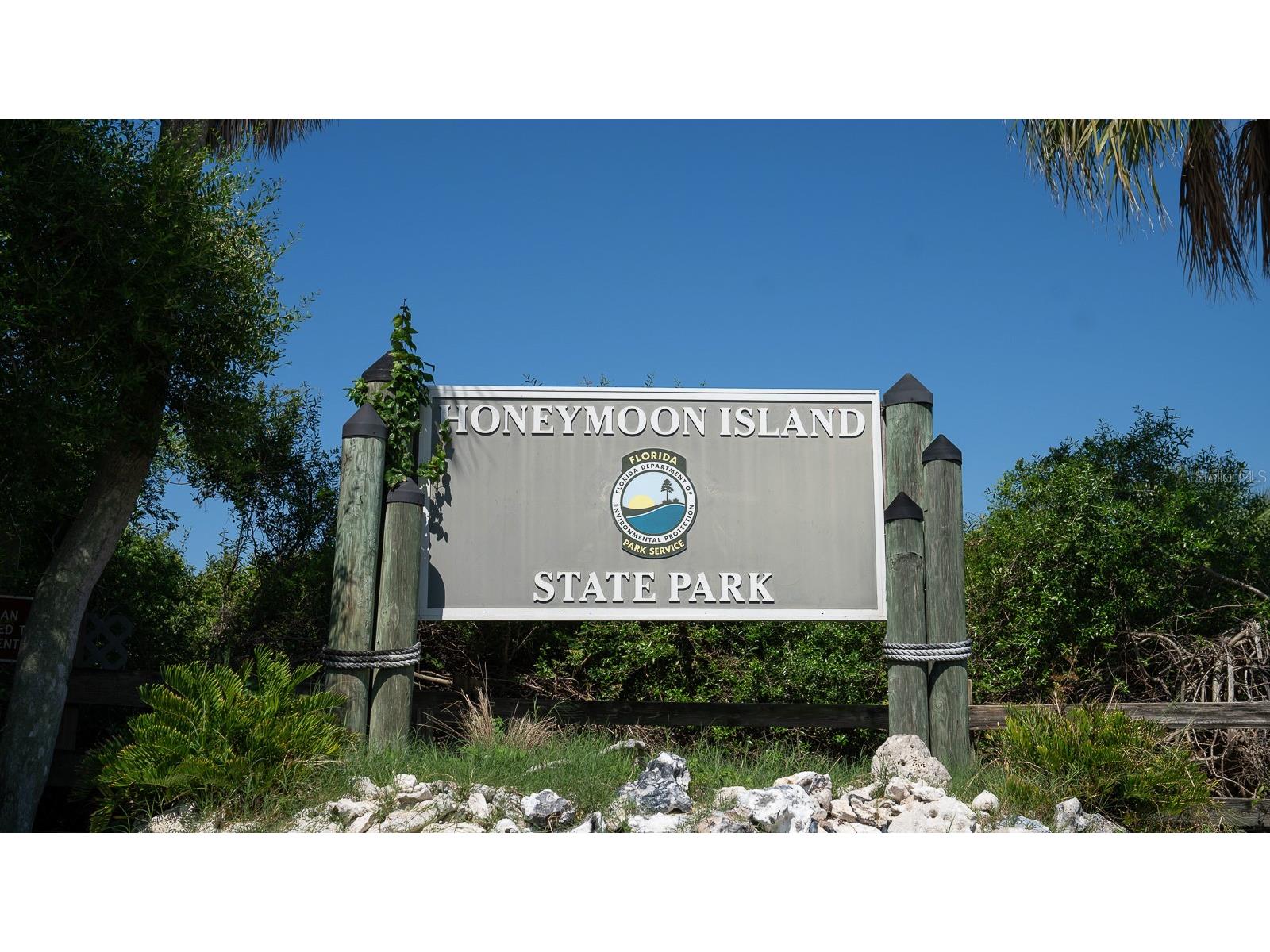 8 Glencoe Place #104 Dunedin FL 34698 TB8485361 image37