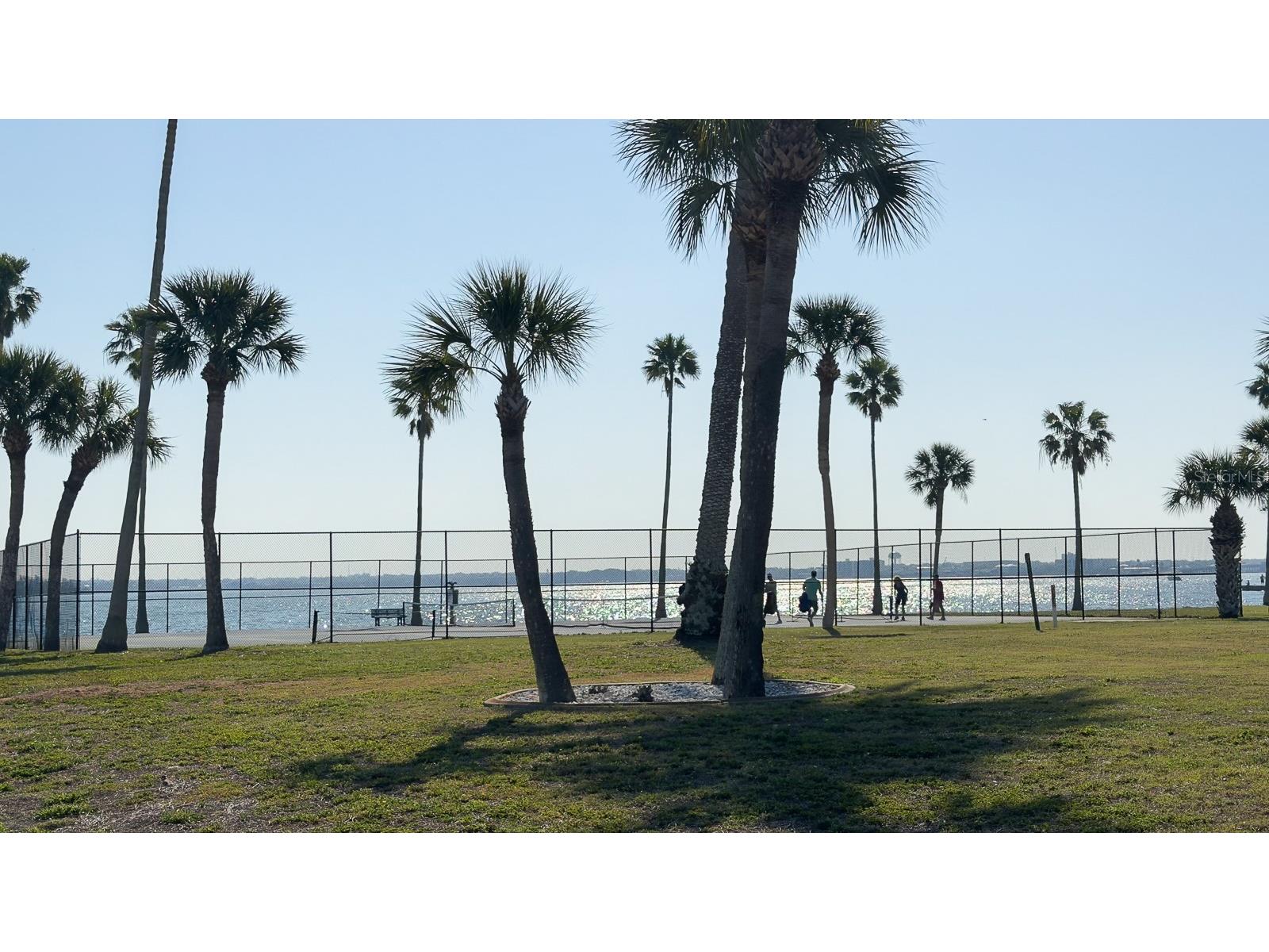 8 Glencoe Place #104 Dunedin FL 34698 TB8485361 image42